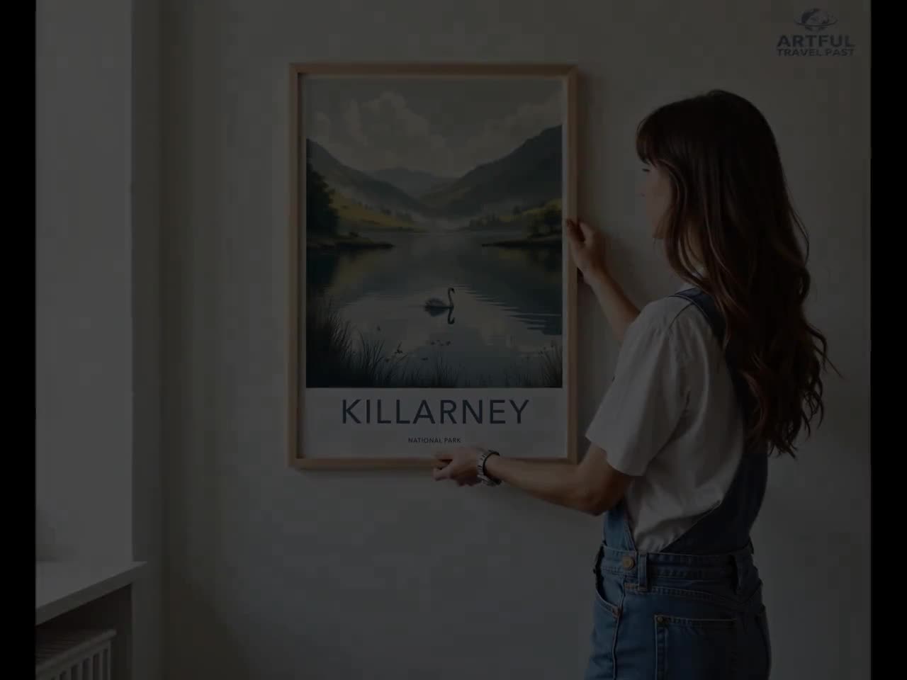 キラーニー国立公園のウォールアート、アイルランドのポスター、白鳥の